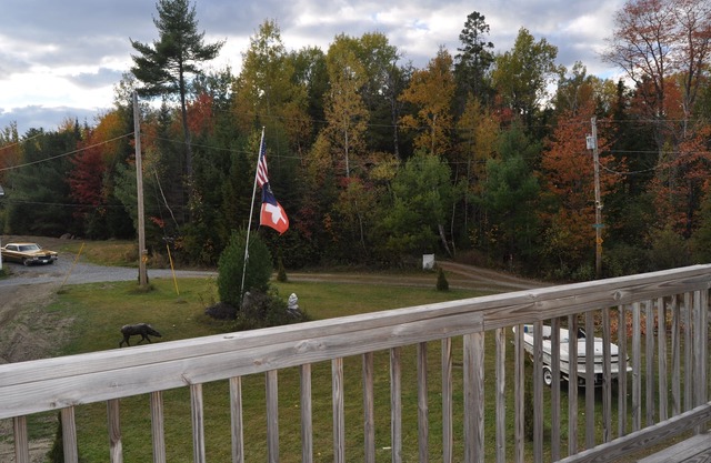Beautiful Modern In the middle of a forest close to lake, with lake access