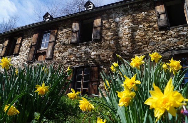 Beautiful mountain house in the heart of Regional Natural Park of the Pyrenees Ariègois