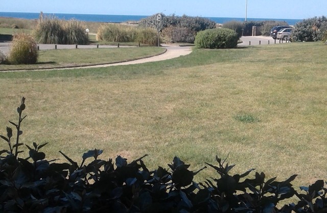 Beautiful newly furnished beachfront apartment