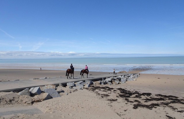 Beautiful Norman house with outbuilding located in the bay of Mont St Michel