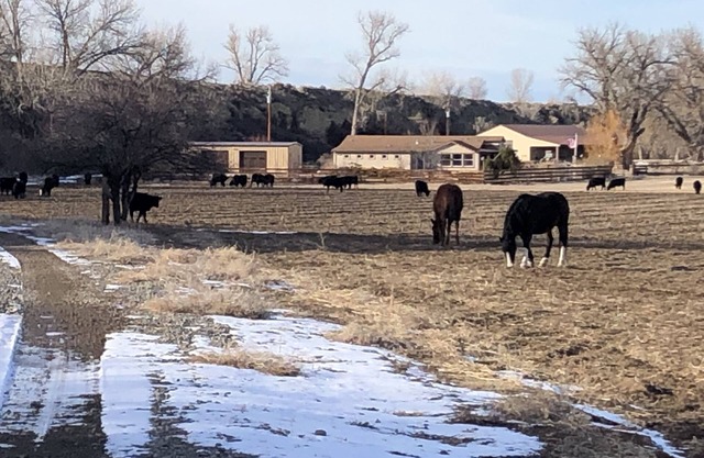 Beautiful private Big Horn River Ranch House
