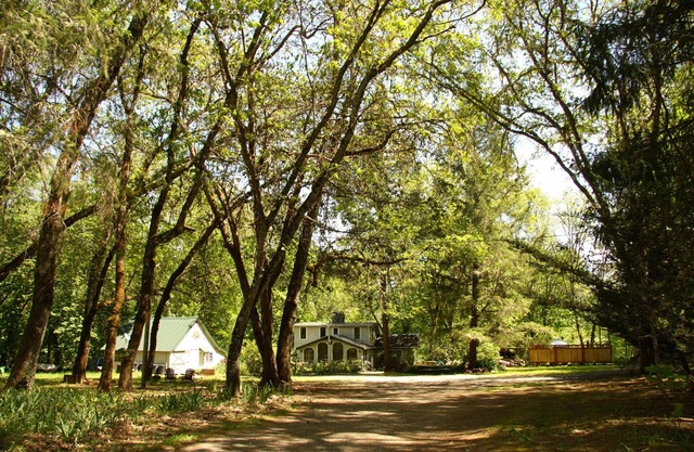 Beautiful Rustic Cabin on the Rogue River