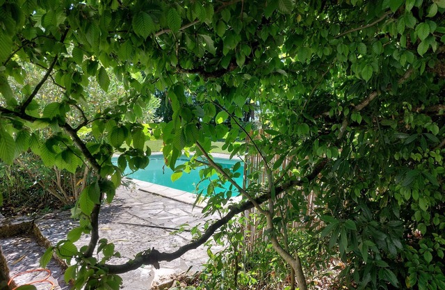 Beautiful stone family home with swimming pool