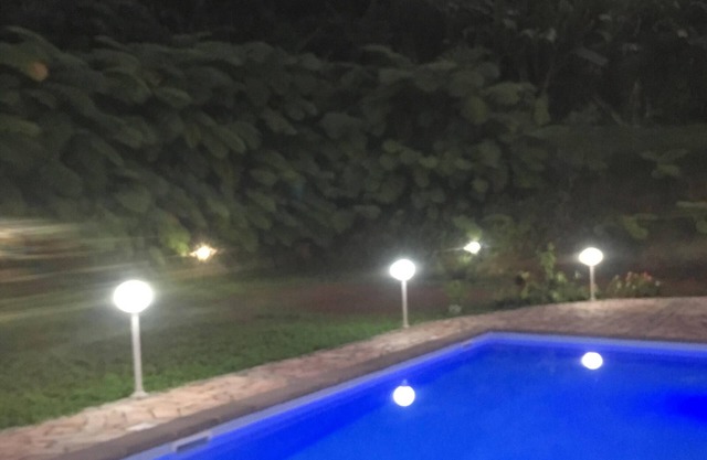 Beautiful T3 in tropical forest with swimming pool