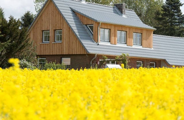 Beautiful vacation home on the Schlei - your little villa to feel good in
