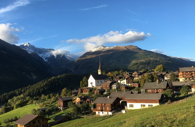 Beautiful Valais apartment with a view in Ernen