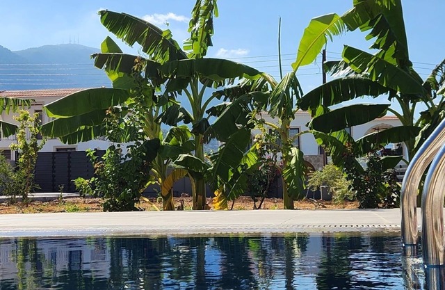 Beautiful villa with private pool sea & mountain view, full amenities, free WIFI