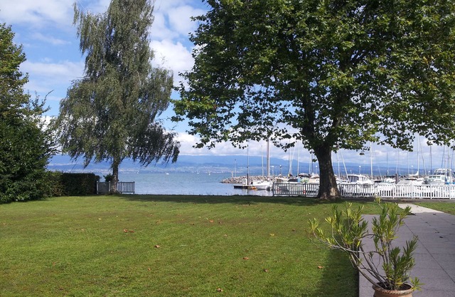 BEAUTIFUL WATERFRONT