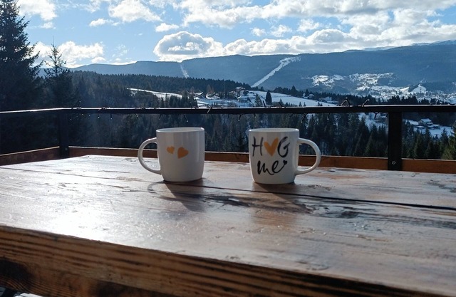 Beautifull house with an amazing view on mountain Jahorina, 15min from Sarajevo