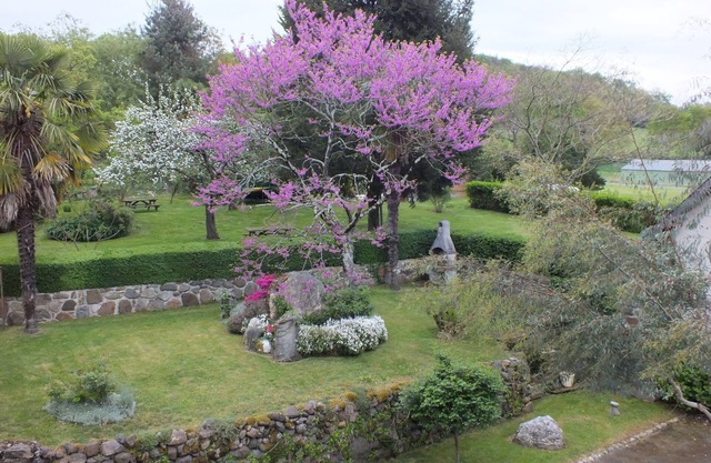 Bed and breakfast at the farm, Lourdes, Pyrenees, ANOUSTA