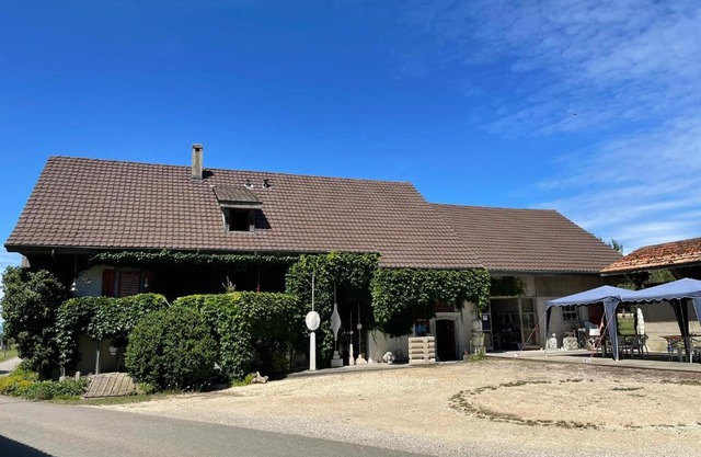 Bed & Breakfast in einer Kunstgalerie