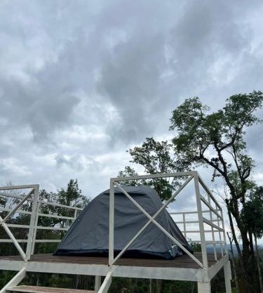 Bee tree adventure park tent stay