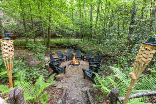 Beech Timber No Pet Fee