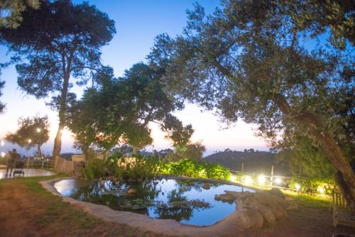 Beit Oren Hotel