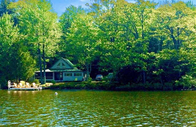 Belgrade Lakes, Great Pond - Sandy Entry & Quiet Cove