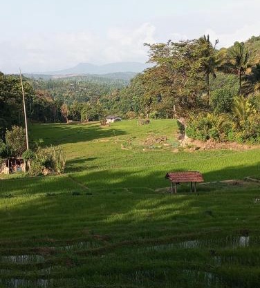 Belihuloya Escape and Cafe
