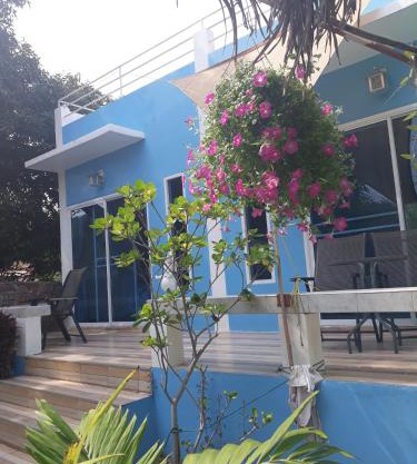 Belinda Home