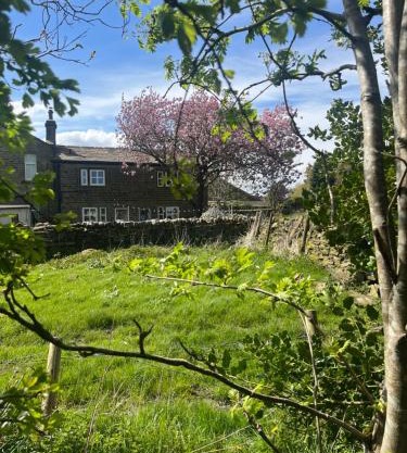 Bents Holiday Cottage