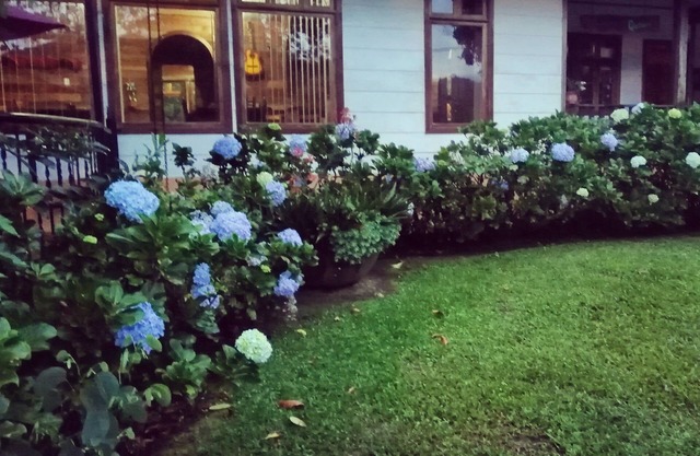 Best immersion experience in a Farm at Finca Queveri