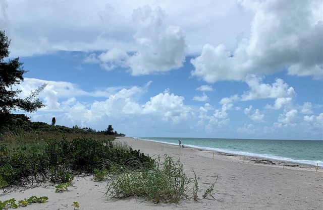 Best Location on Manasota Key, Cottage Sleeps 3, Kayaks and Wi-Fi