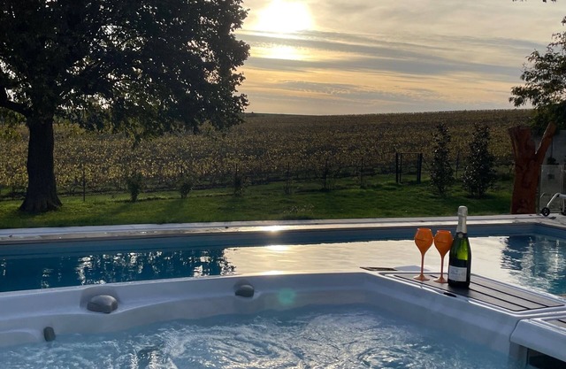 Best view on the Champagne vineyard