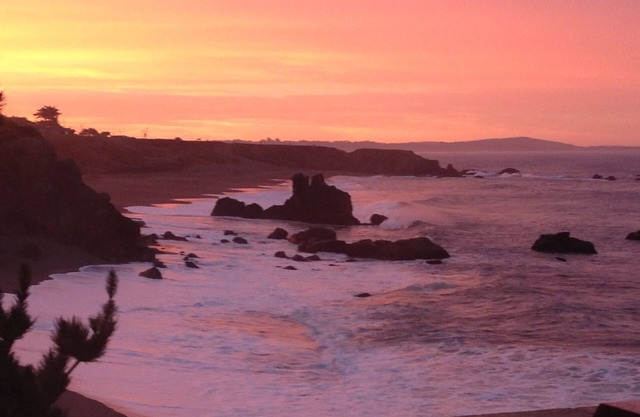 Best views on Sonoma Coast!Oceanfront,private hot tub, fire pit, pets considered