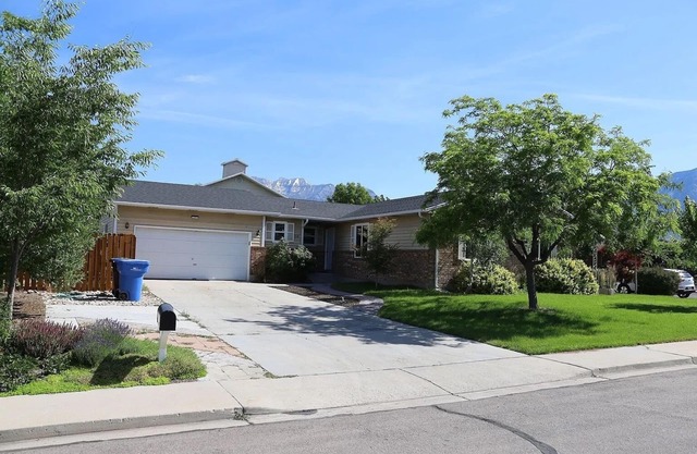 Big Yard, Cozy Home, Relaxation and Waffles Too!