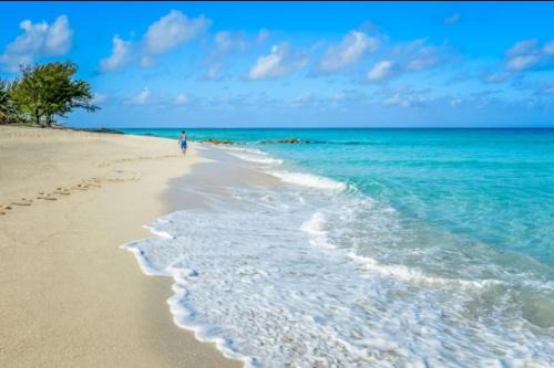 Bimini 2BR-2BA Ocean View Near Infinity Pool