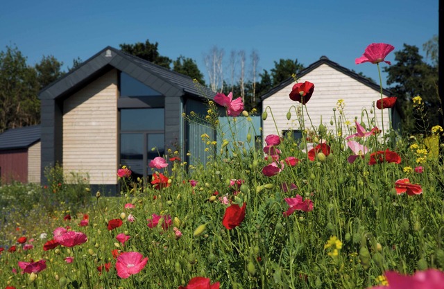 Bio-Seehotel Chalets at the Zeulenrodaer Meer in the Thuringian Vogtland