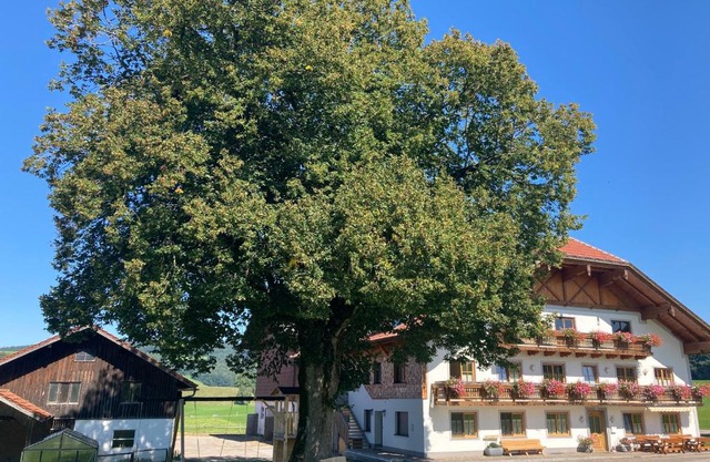 Biohof-Feichtinger