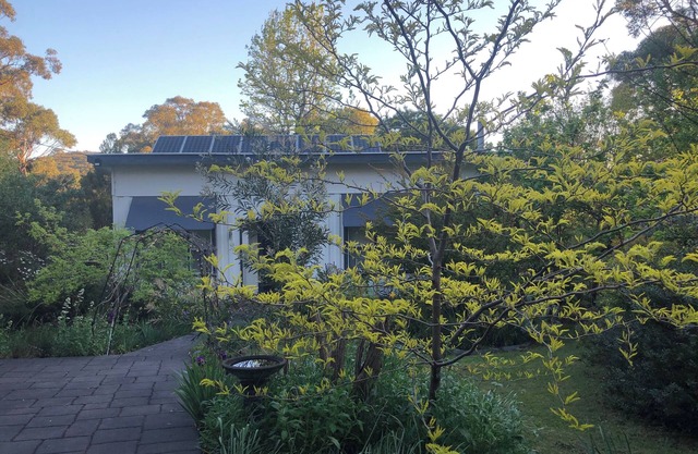 Bird Hill - An Amazing Place to Stay, with nature at every window
