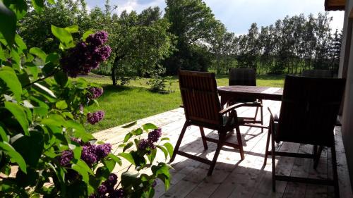 Blanki Siedlisko agroturystyczne Jestem