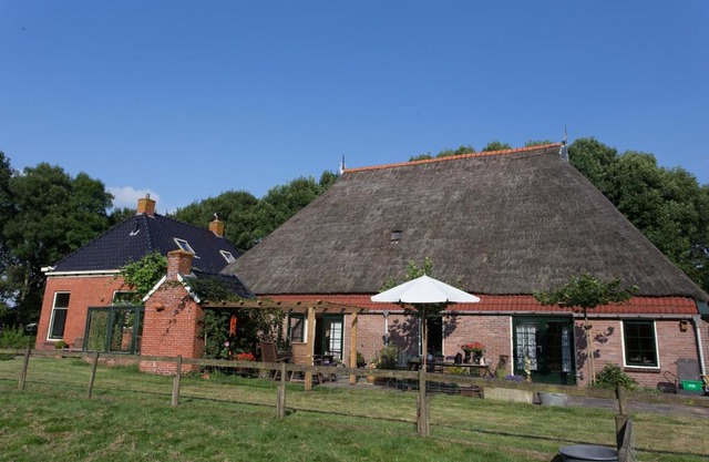 Blier Herne