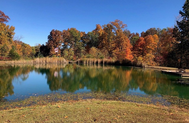 Bloomington hideaway, 10 min from downtown, catch some fish in private pond.