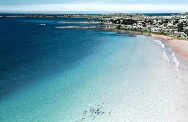 Blue Beach House - dog friendly. Walk to Beach, lake. Fish surf swim SUP dive
