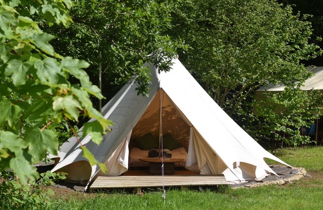 Bluebell Brook CampnSecluded camping in 13 acres of magical meadow and woodland.