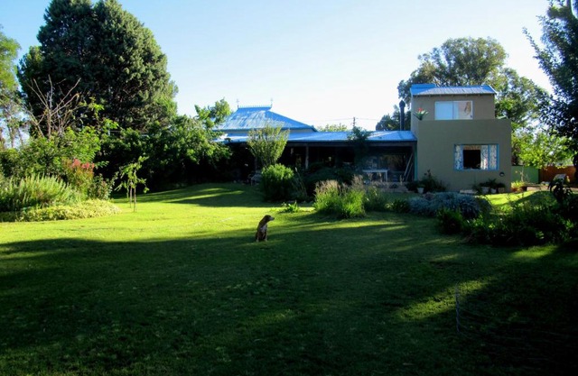 Bluegum Cottage B&B and Self Catering