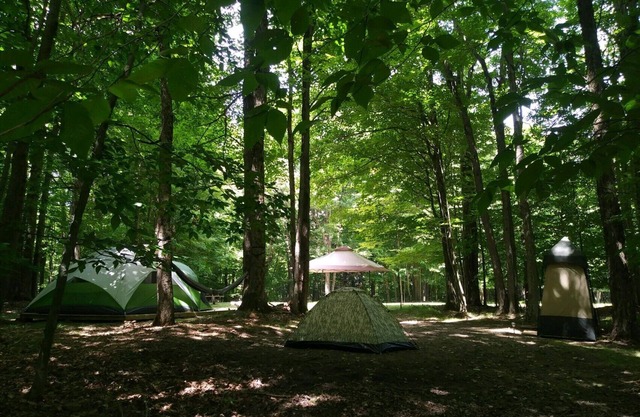 BlueMoon - quiet, private, secluded