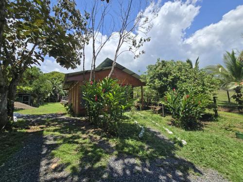 Boca Tapada Rainforest