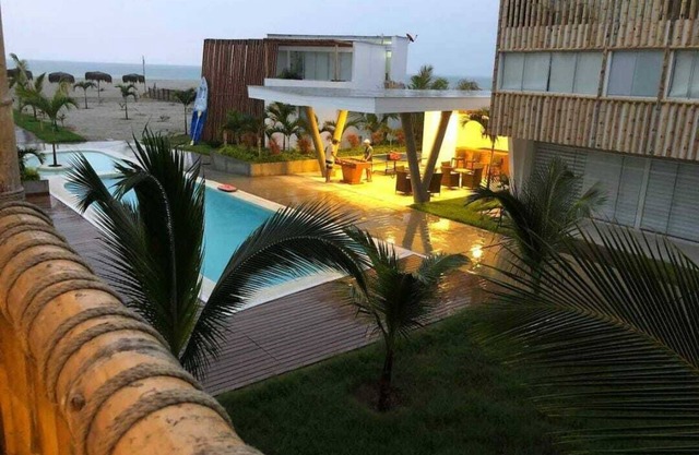 Bocapan palm trees