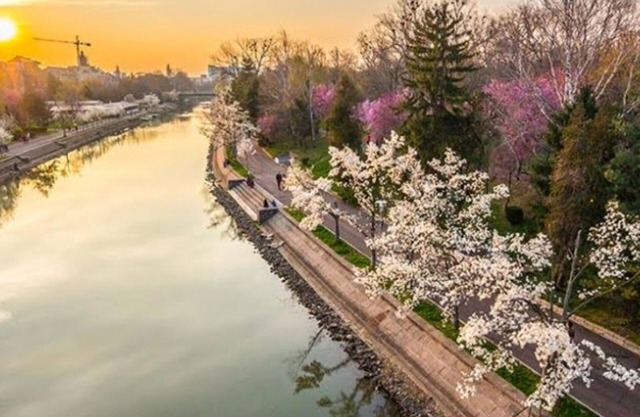 Boheme Proprety in the Heart of Timisoara
