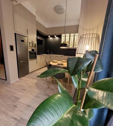 BoleslaviaApartments - Apartament Simon 2, Center, air conditioning