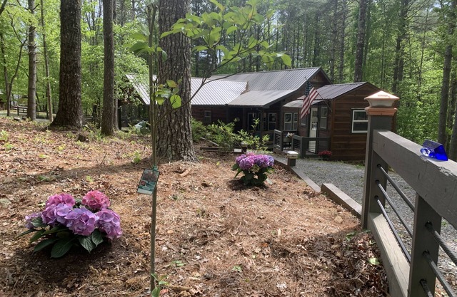 Book today; autumn leaves change soon WOODSIDE COTTAGE in Blue Ridge Mtns N.GA.