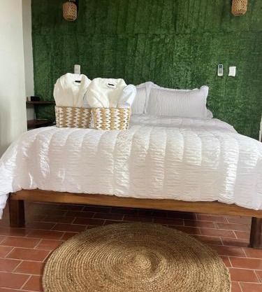 Botanic Garden Suite, with views of the nylon pool