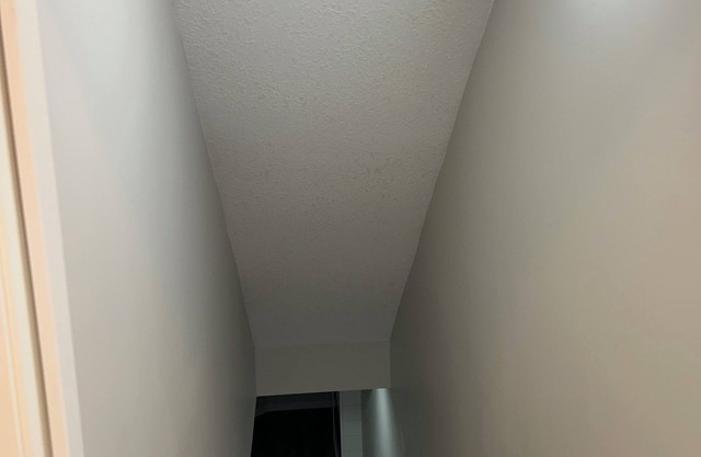 Brand new basement with two ensuite rooms