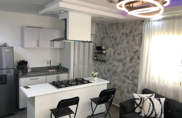Brand new Condo in the heart of La Zone Colonial!