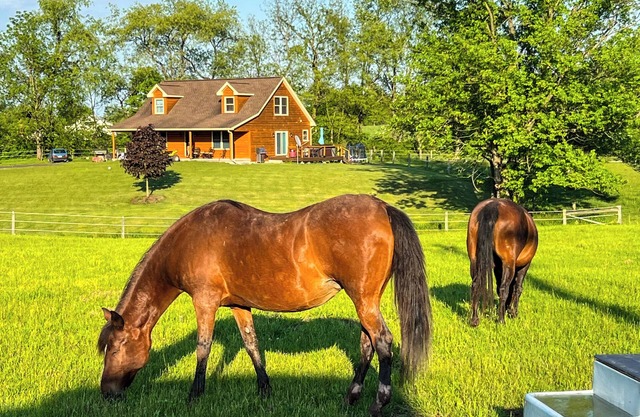 BRAND NEW! Modern Tiny House @ The Horse Stables