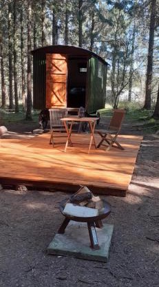 Bridgewood Camping - Traditional Shepherd's Hut