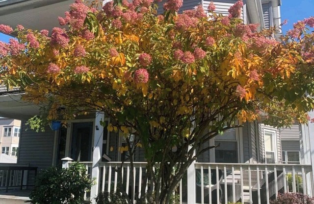 Bright and cozy 3 bedroom apartment in Chicopee with AC, WiFi. Enjoy your stay