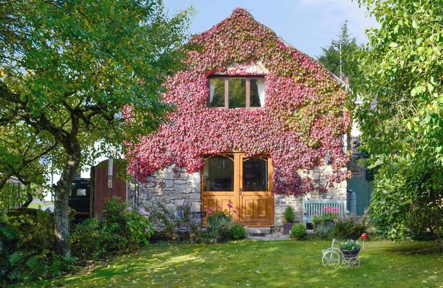 Bryn Dedwydd Cottage